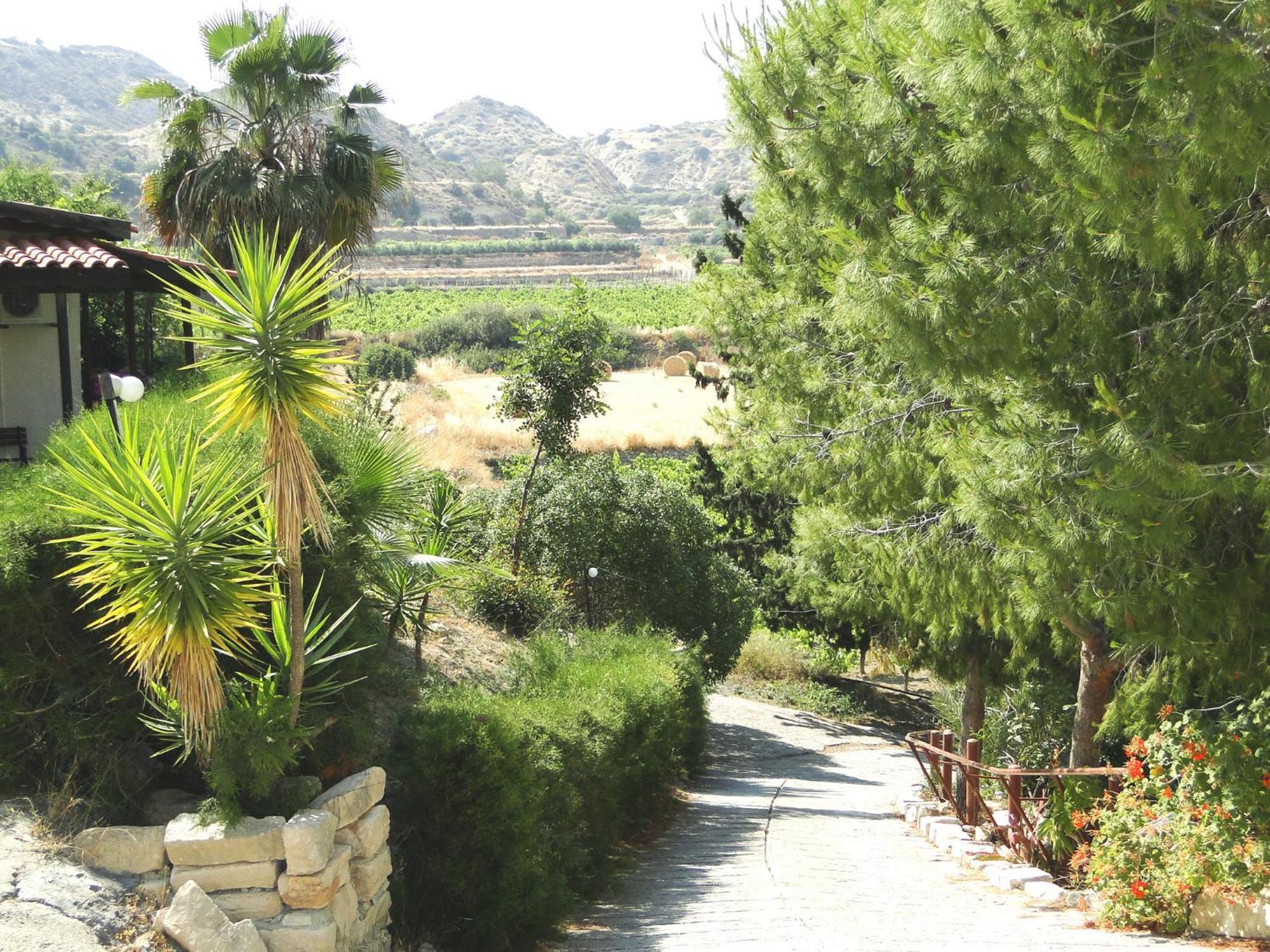 Ampelokipi Holiday Apartments Pissouri Ngoại thất bức ảnh